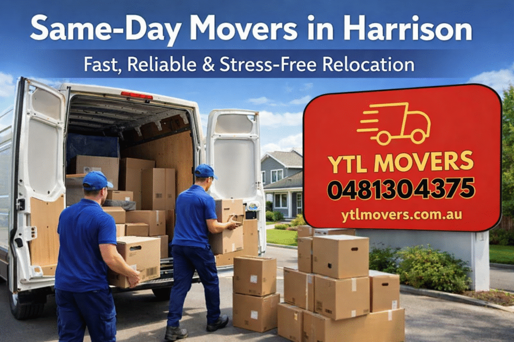 Best Movers in
