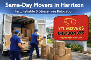 Best Movers in